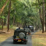 kanha-mptourism