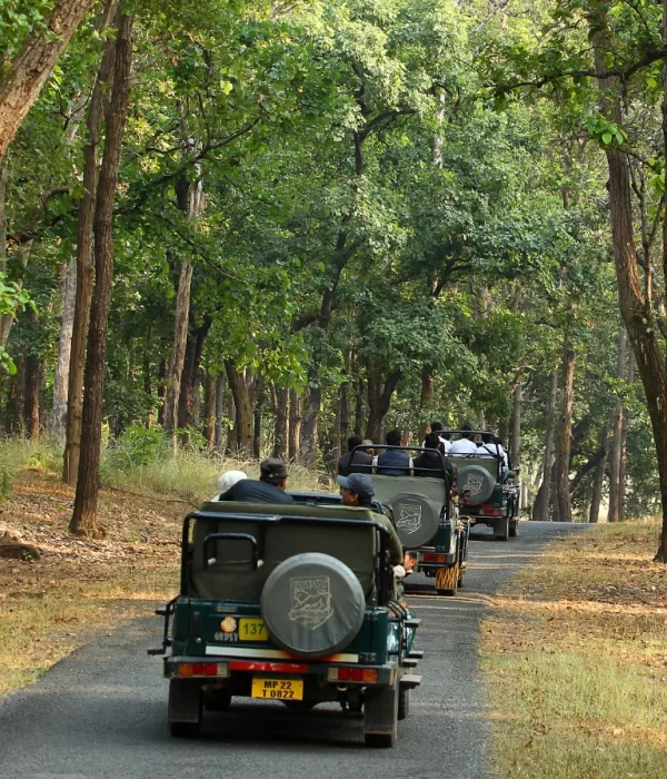 kanha-mptourism