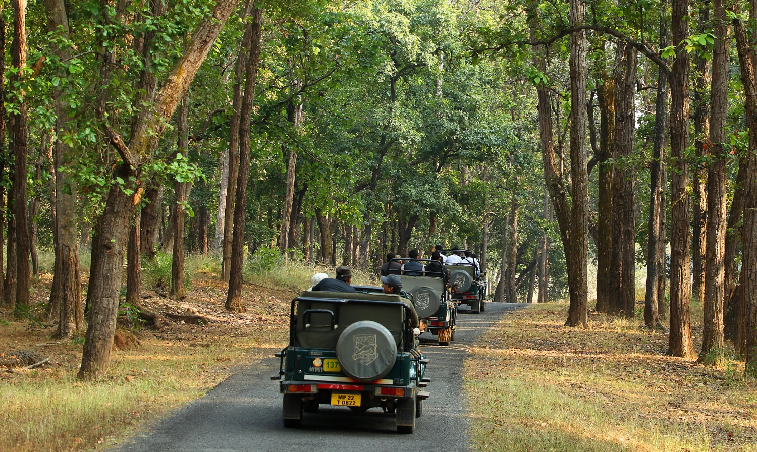 kanha-mptourism